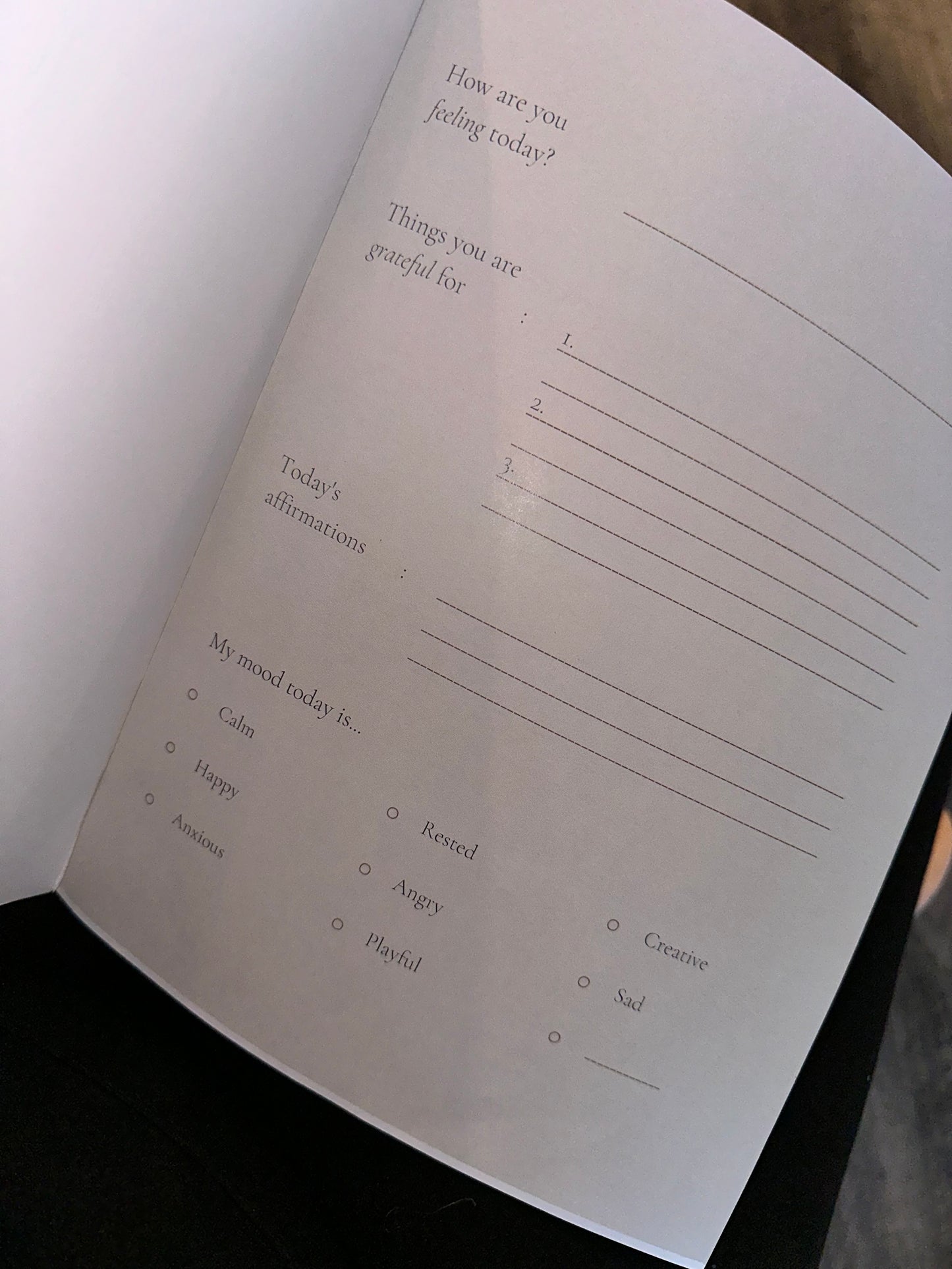30 Day Journal